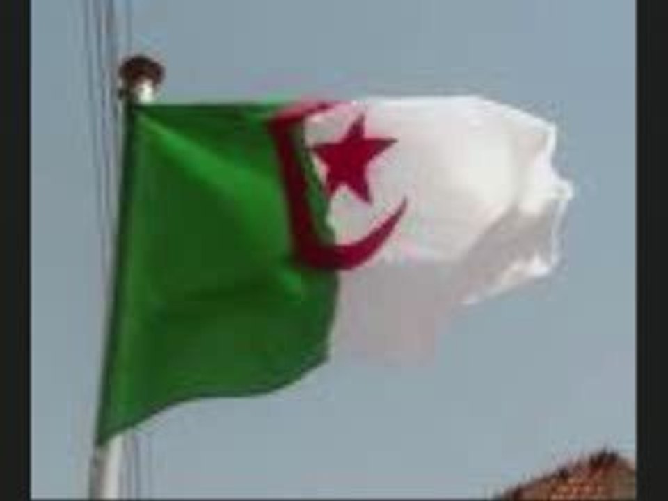 COCKTAIL STAIFI - CHAOUI