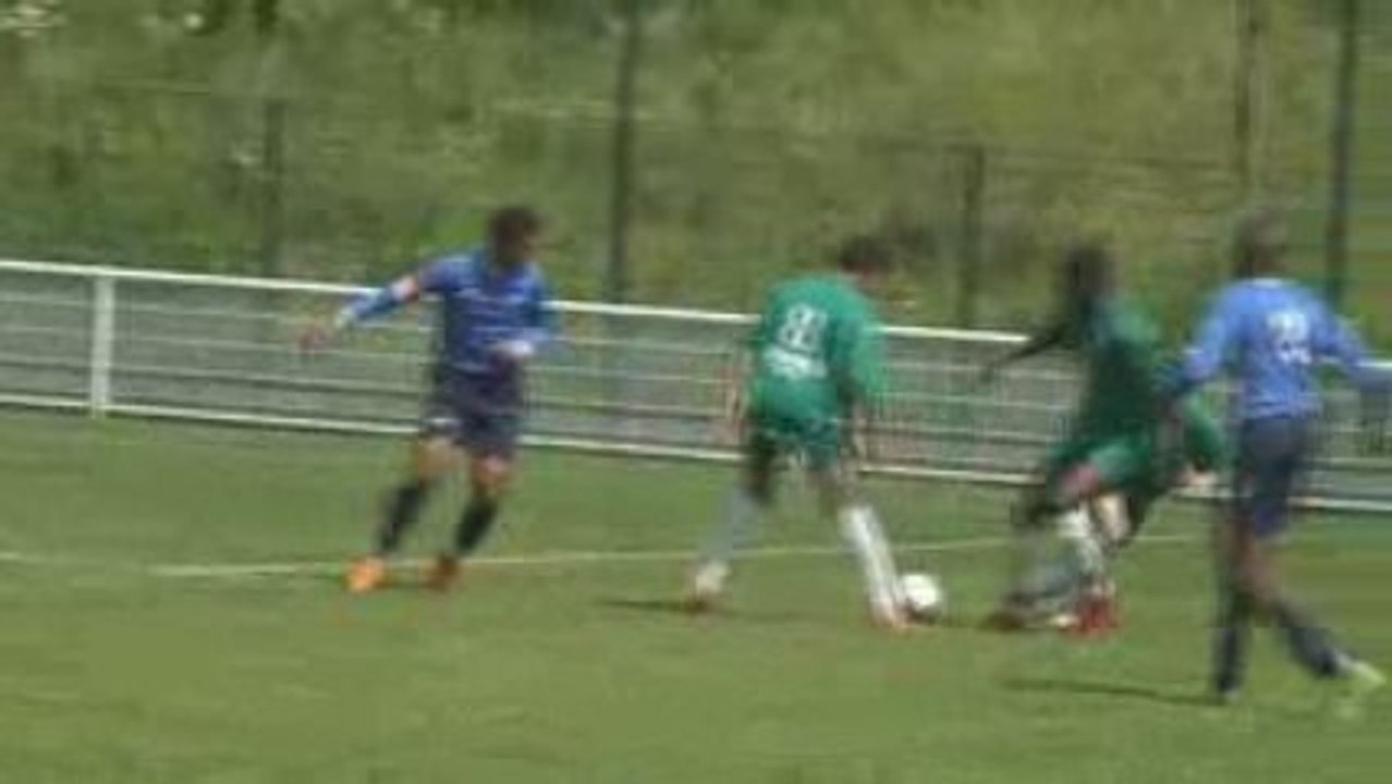 Salim