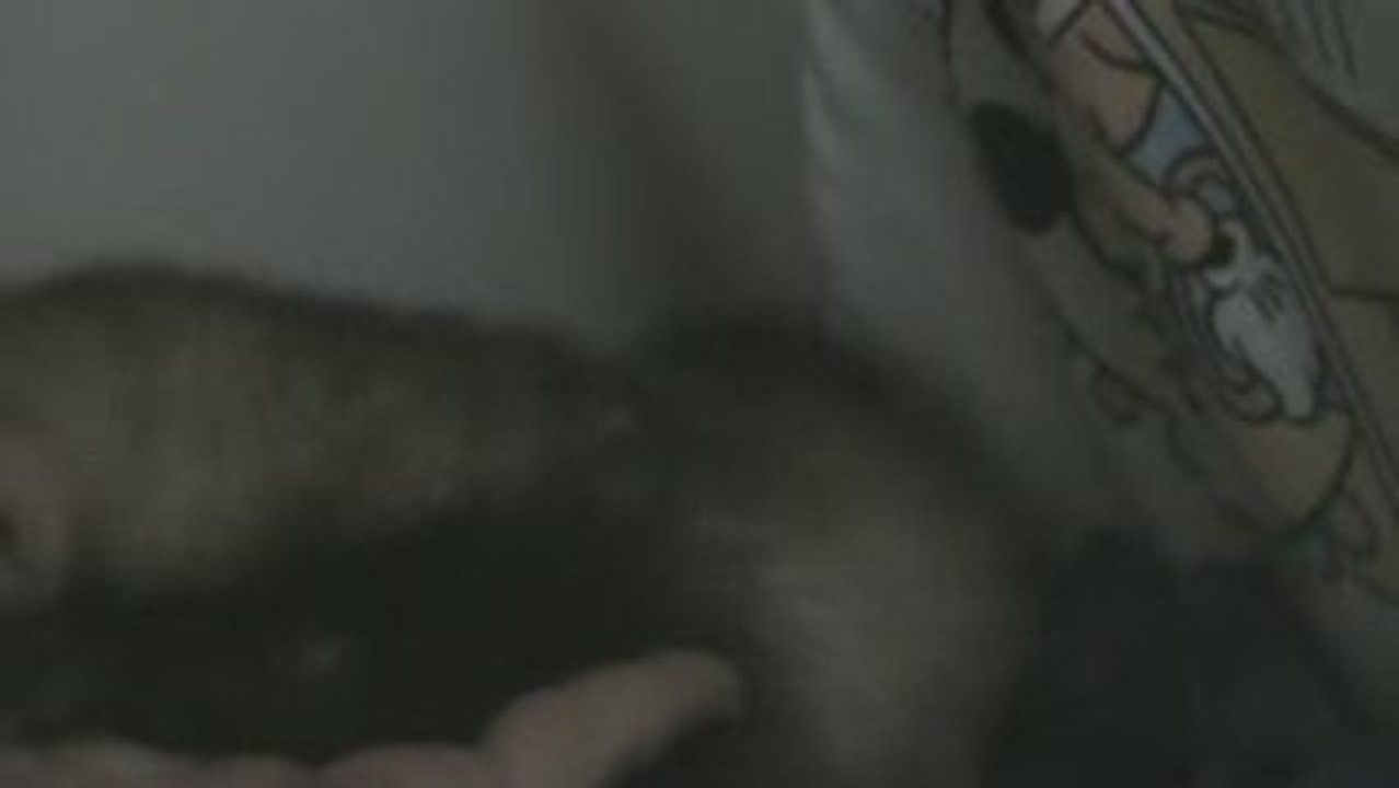 bonjour Gaia