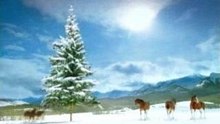 Snow fight