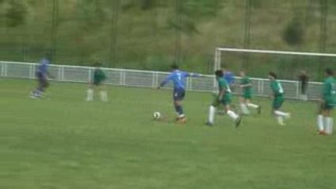 Salim