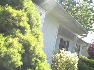 Holtsville2, ranch, Power washing Dragon and Painting -PDP.