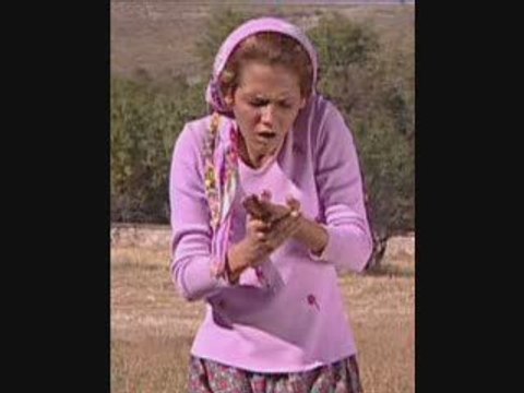 Yedi Karanfil Burçak Tarlası Fon Müziği