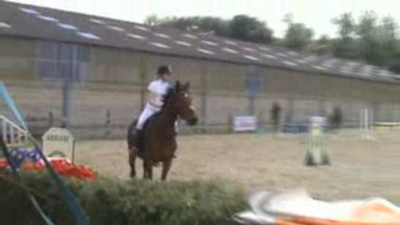 Samiro des Quatre As en concours <3