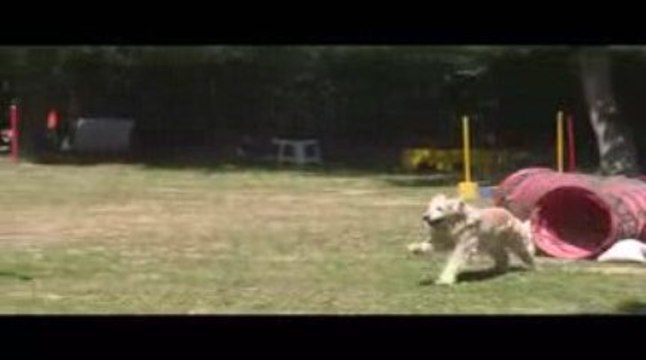 Salsa GPF Agility Dagneux 21/06/2009