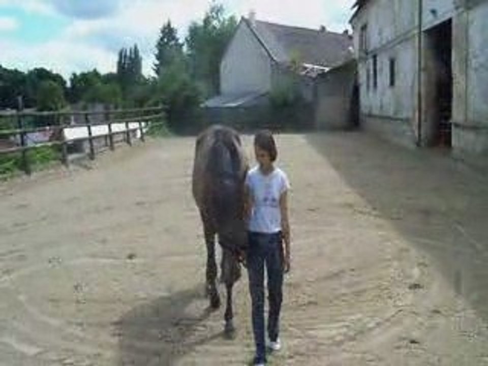 Little Love