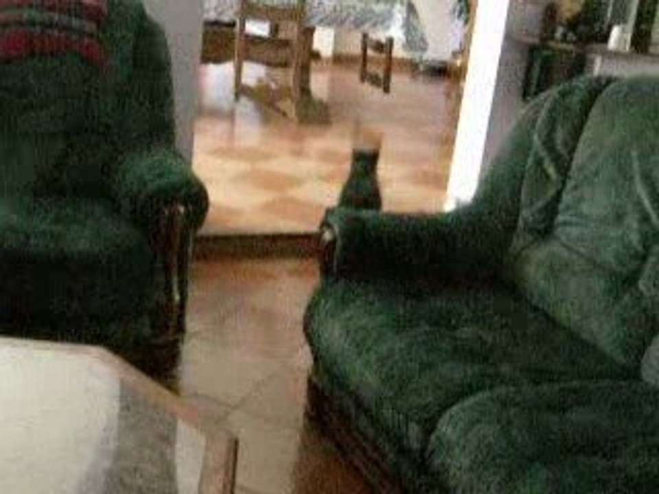 DSCN3323