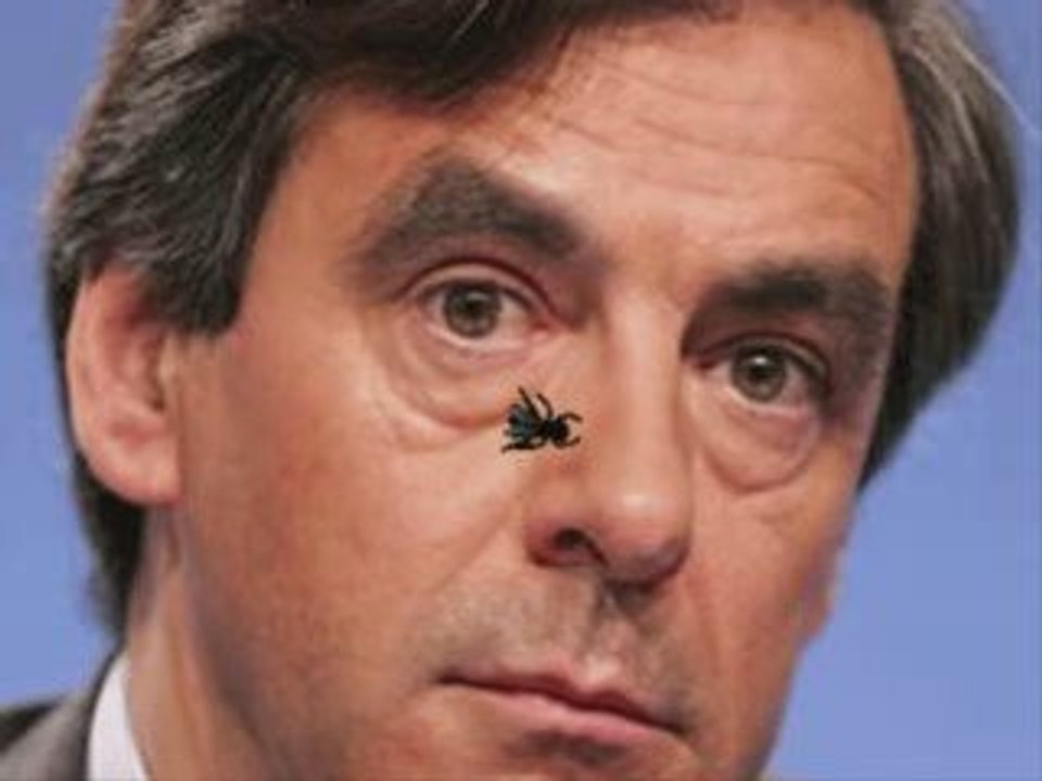 Tape-mouches