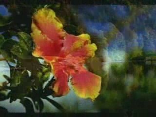 Hz Ebubekir efendimizin KASİDESİ