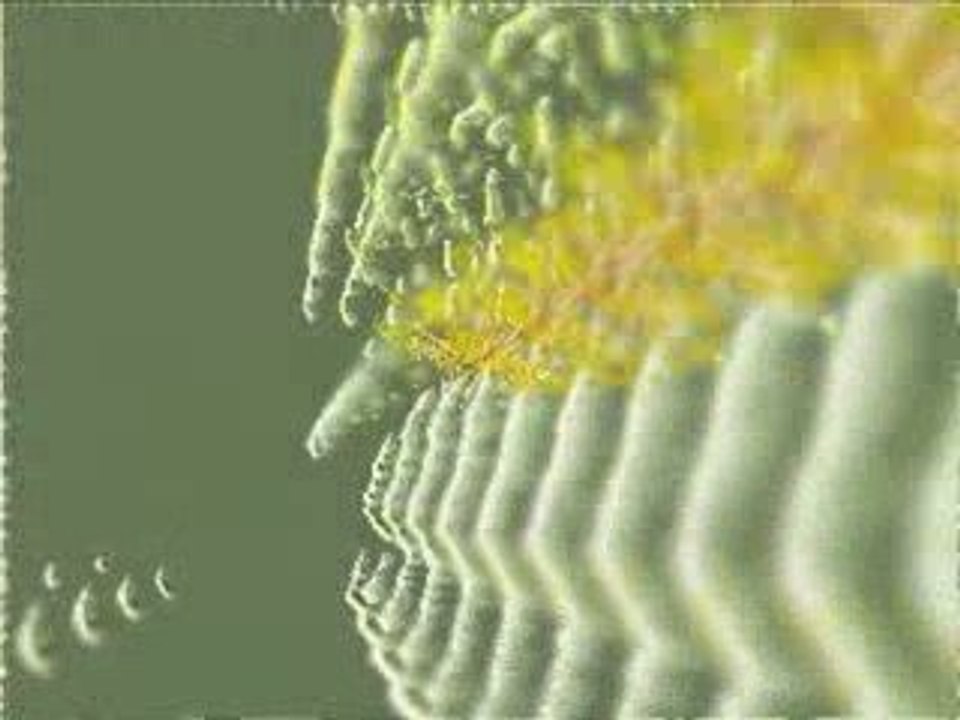 Polar Lights