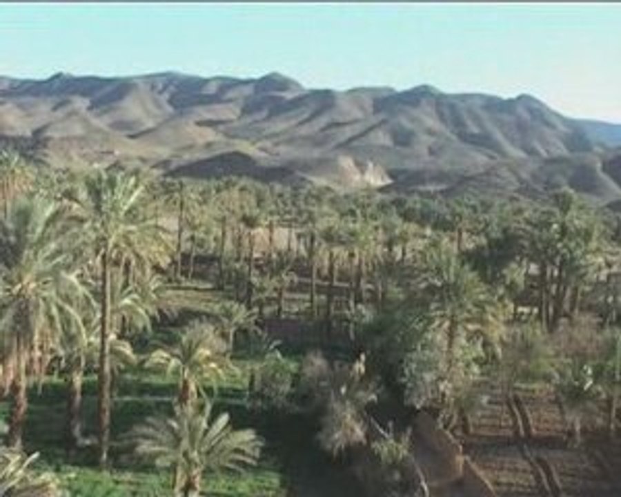 La vallée du draa - route des épices - Maroc