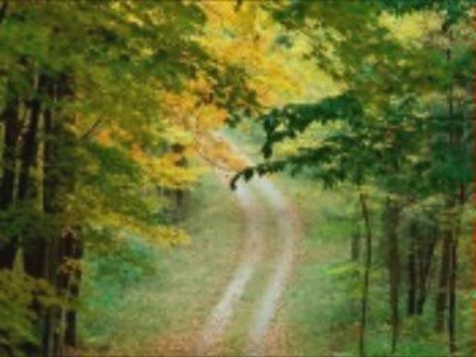 mikres glikes apolayseis