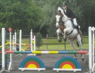 hermino cheval polyvalent pour amélie ^^