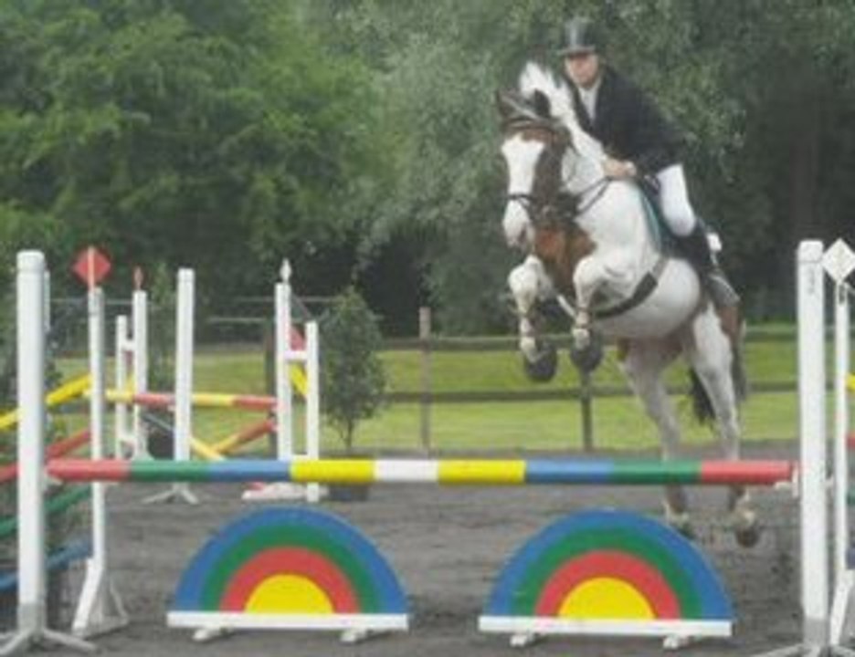 hermino cheval polyvalent pour amélie ^^