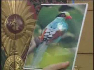 CELAL HOCA EĞİTİMDE - DERS 11