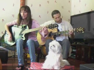 Wild horses by BERLYNER (cover)