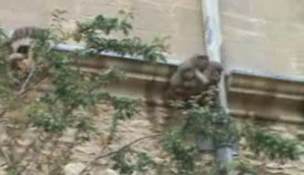 Video04
