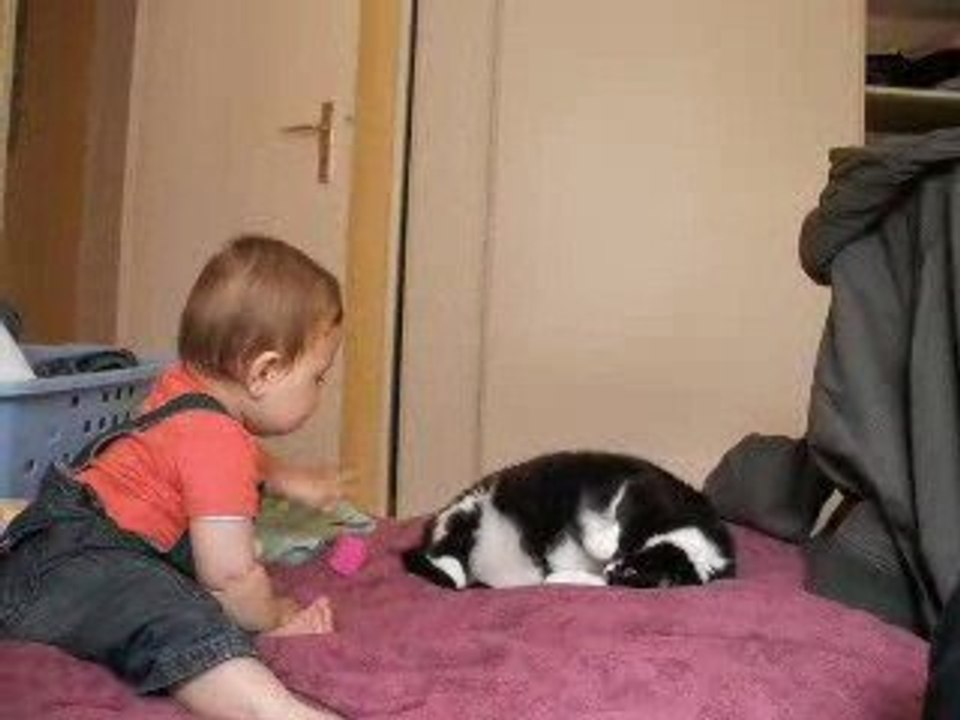 louise et le chat