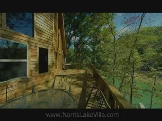 Norris Lake Vacation Cabin Rental - Night Sky Villa