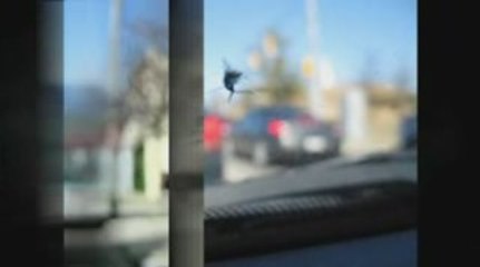 Austin, TX Windshield Repalcement and auto glass repair