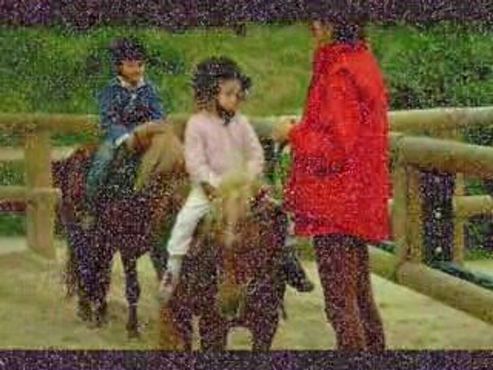 Première leçon de poney !