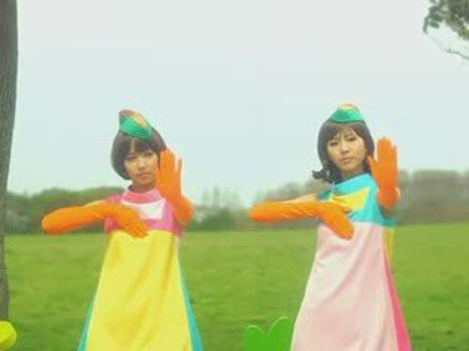 Vanilla beans - Nicola