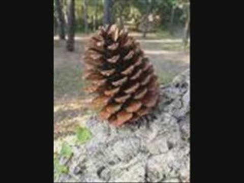 La ferme - Les Fatals Picards