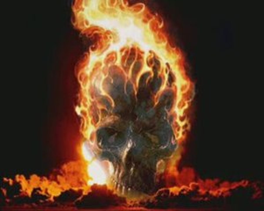 Glennfox To Have And to Have Not