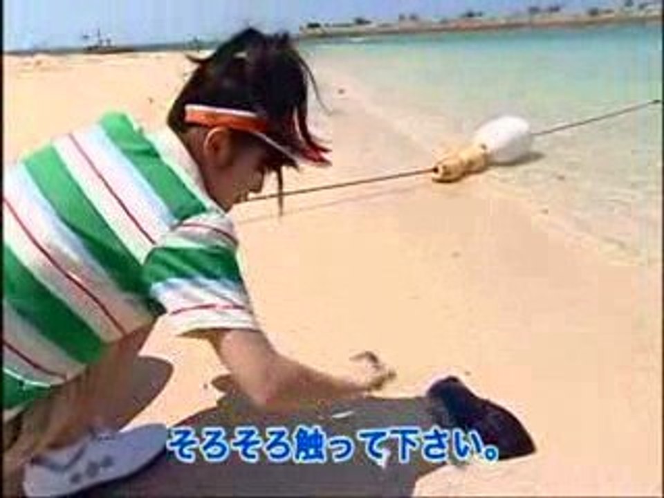 Airi & le "trés méchant" concombre de mer!