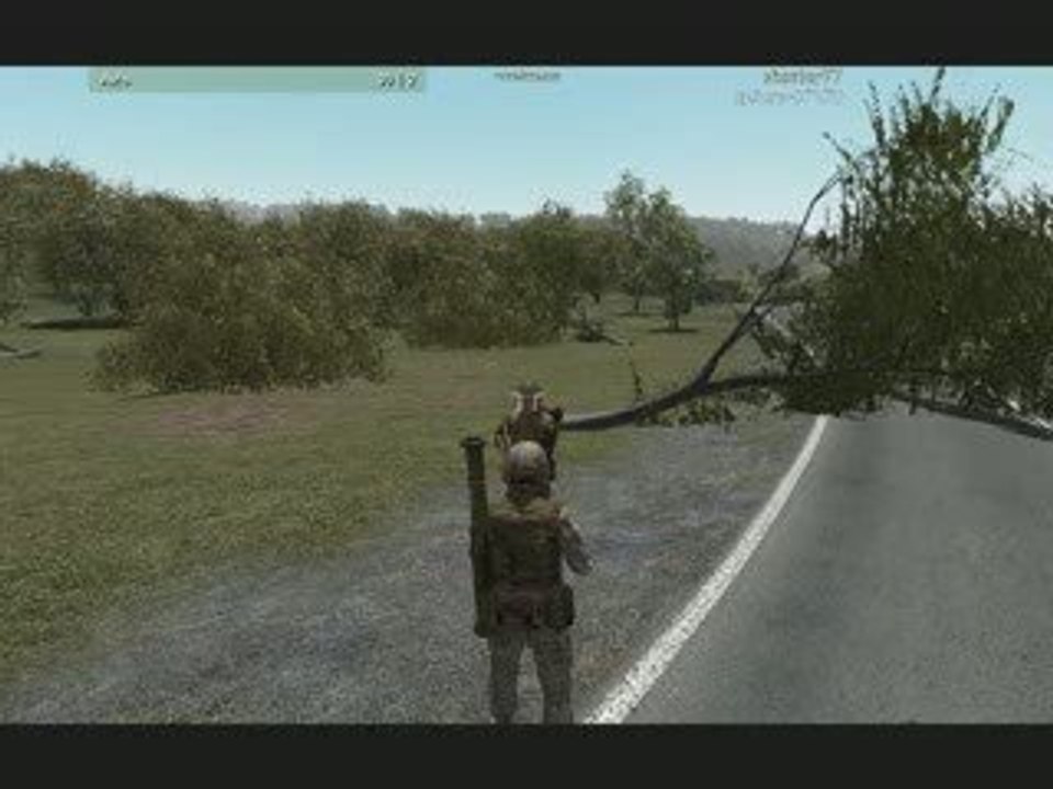 Bug