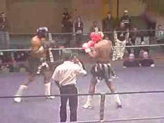 steve combat kick boxing