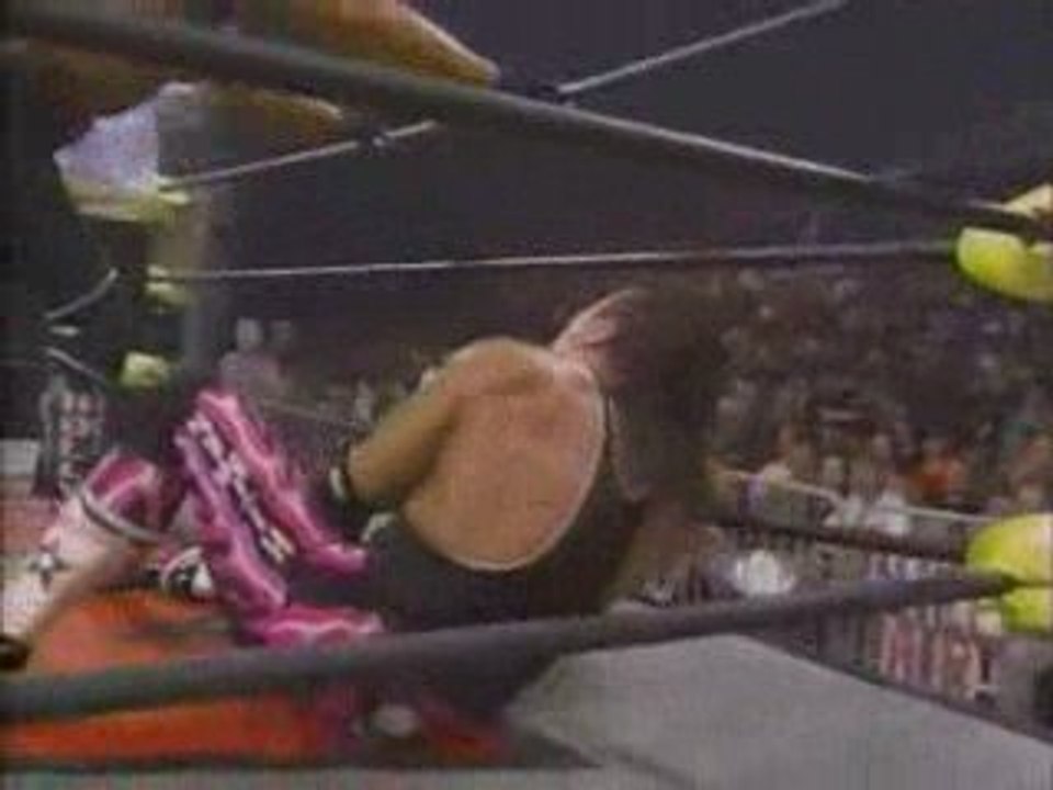 Bret Hart vs. "Hollywood" Hulk Hogan