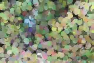 Bicicleta - Somos una triste banda de rock