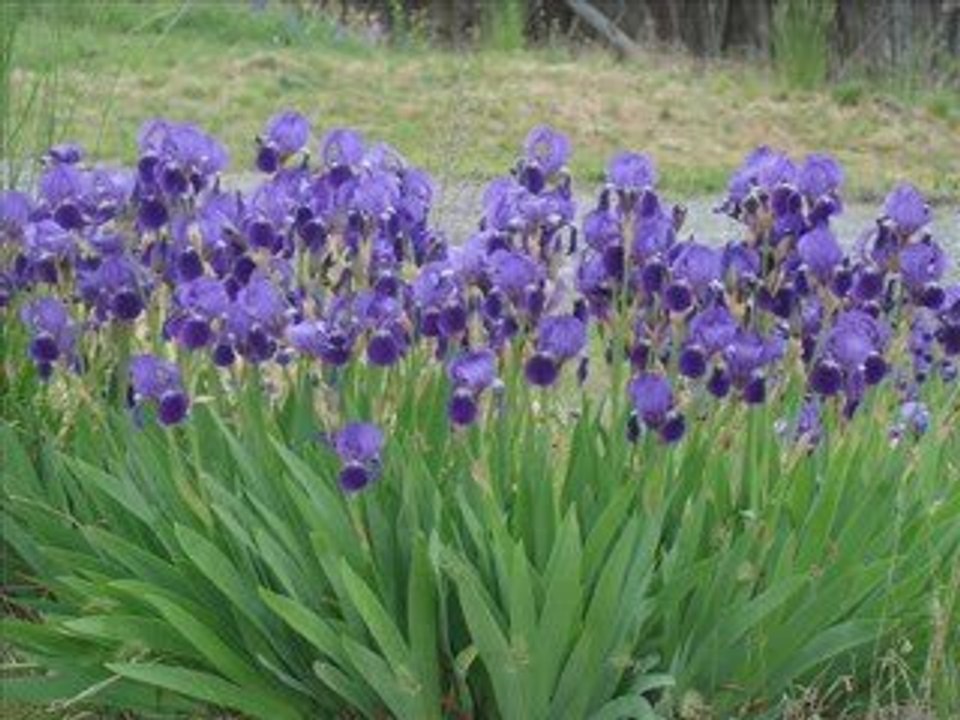 2em jour à Espi mai 2009