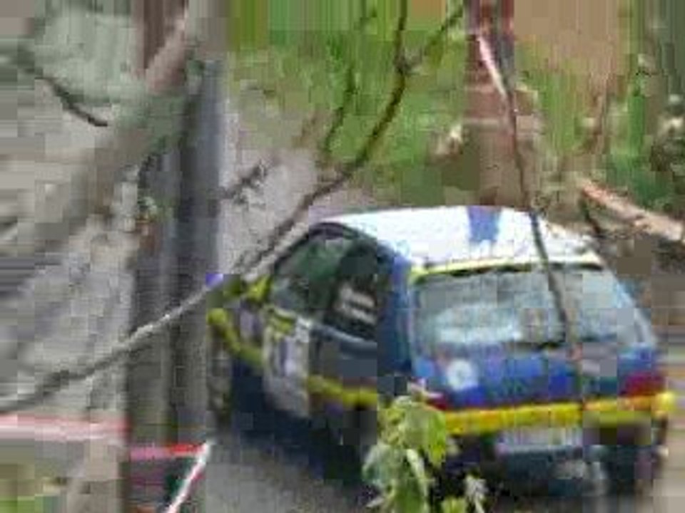 Rallye Fronton 2009 106 xsi FN1 N°89 2