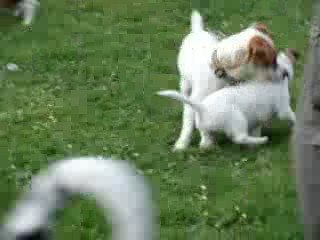 Donuts au parc avec sa nouvelle copine...