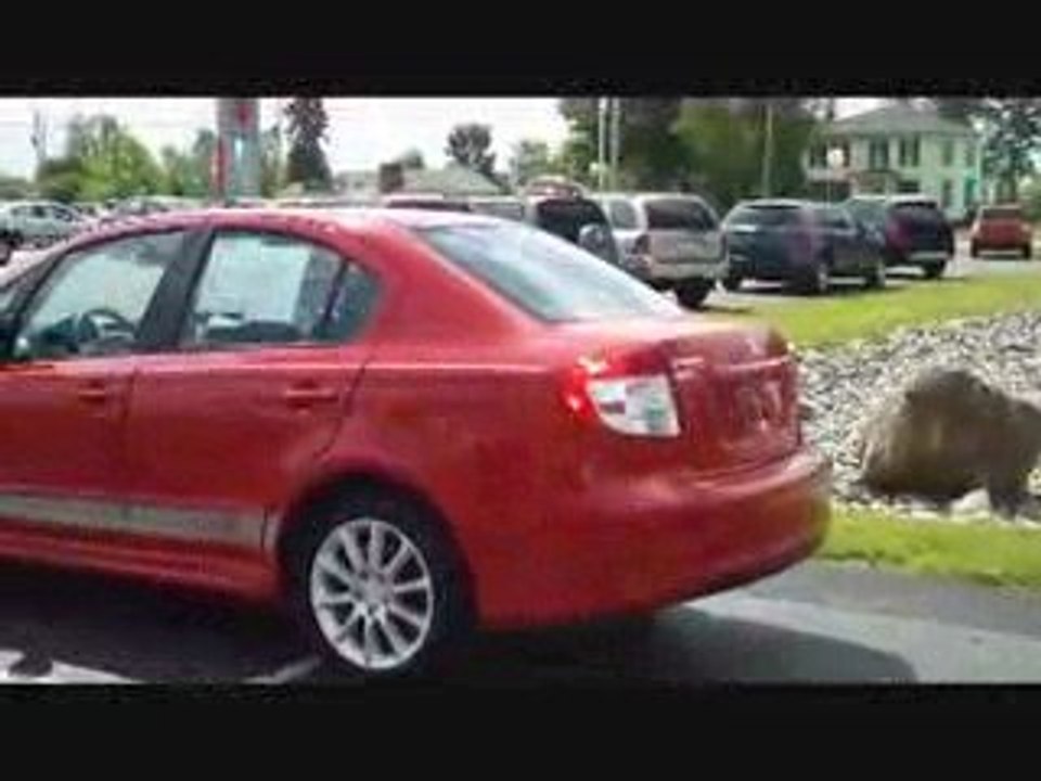 2008 Suzuki SX4 Sport KIPO Cars Lockport NY Buffalo NY video Dailymotion