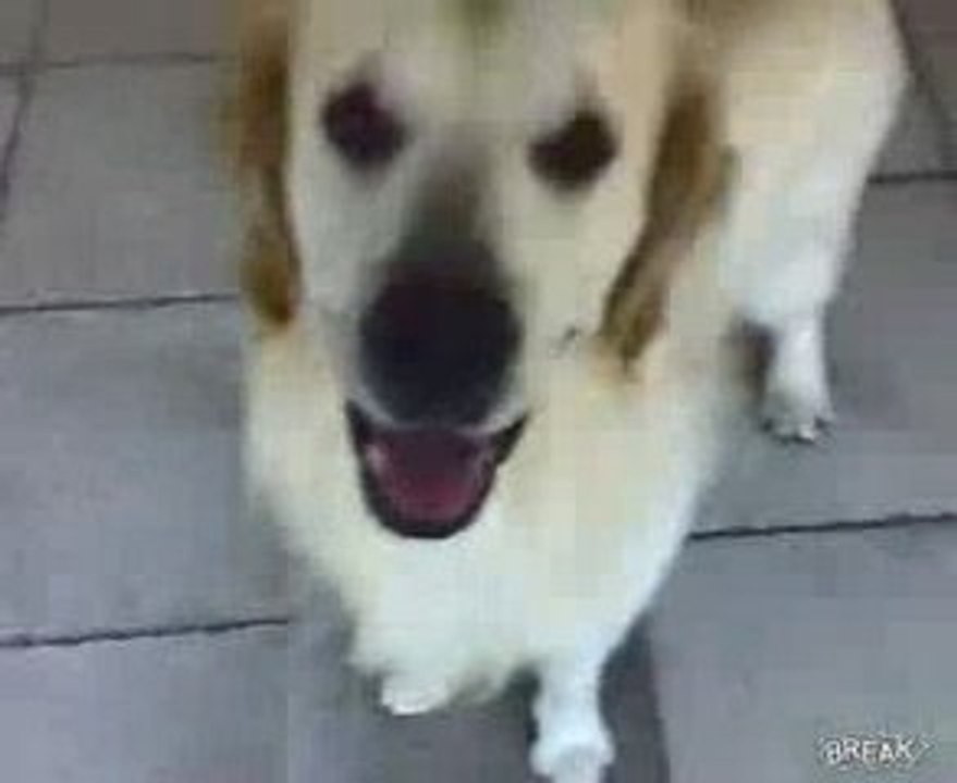 ca fait du bien de rire