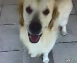 ca fait du bien de rire