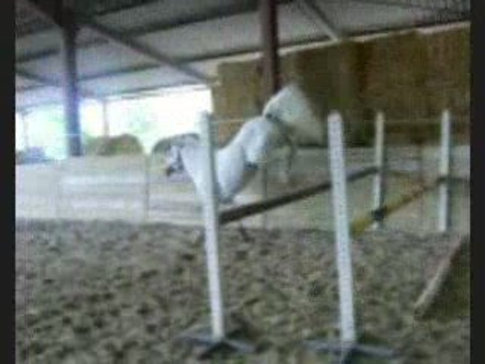 saut en liberté 2