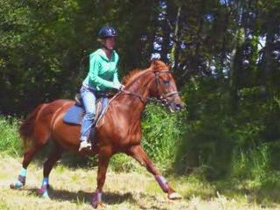 SansTitre_0004