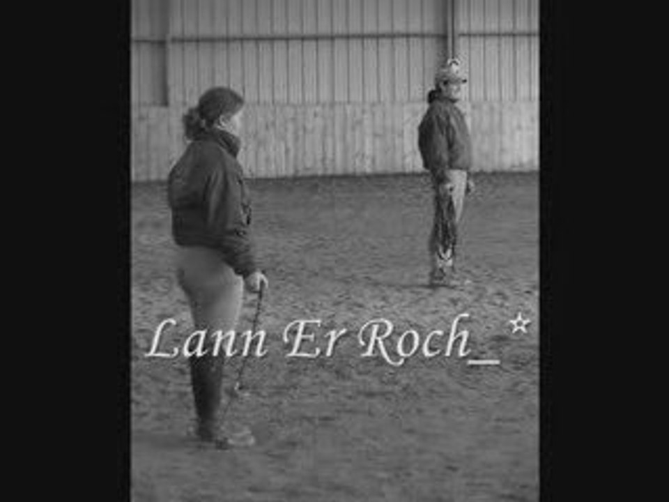 Lann Er Roch_*