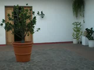 Patio of the Museo Larco