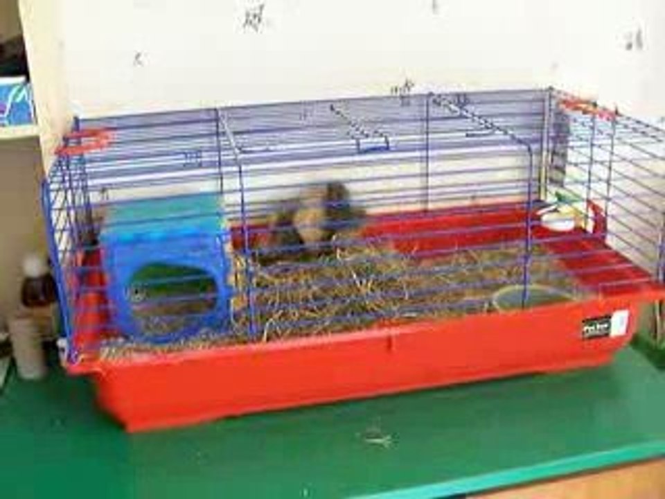 VIDEOS QUINNY 9 JUIN 2009 012 FAIT LA FETE