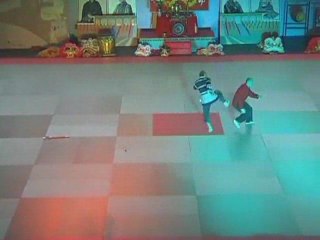 La nuit des arts martiaux à Troyes