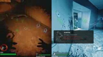 Left4Dead splitscreen PC game