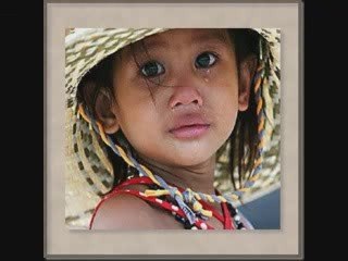 Chrysanthèmes de NOSTROZ