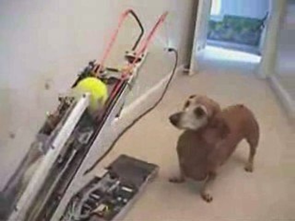 Jerry amuses himself