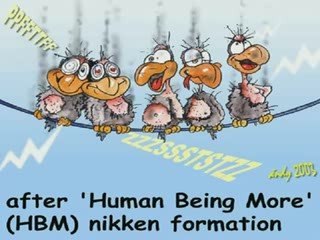 NIKKEN HBM