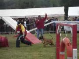 Championat de France 2009 Amboise agility 2 arnac boxer